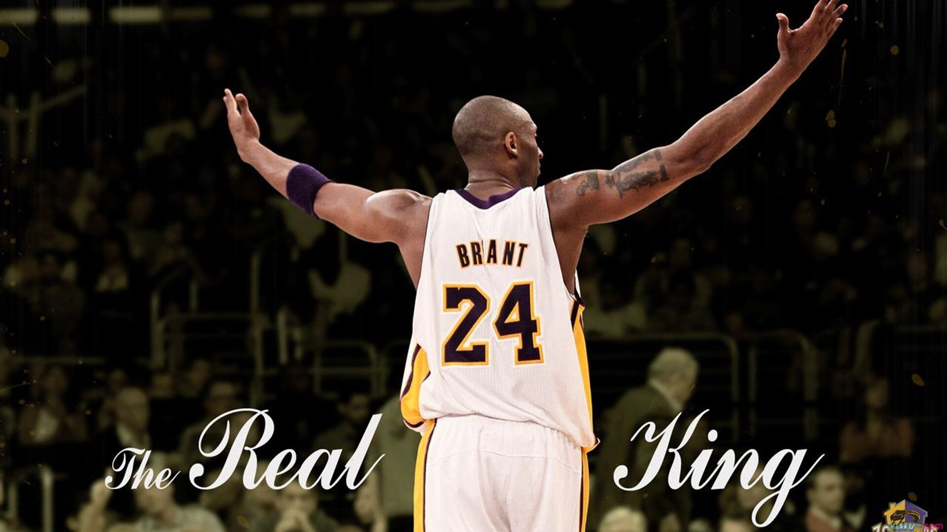 城市马拉松“志愿者专场跑” 工作人员也享受跑步快乐